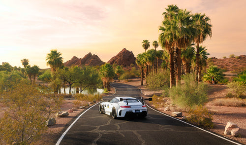 AMG GTS WIDEBODY DESRET OASIS